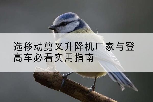 宁乡电动升降机厂家-选移动剪叉升降机厂家与登高车必看实用指南