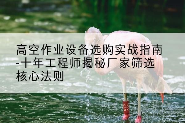 宁乡剪叉式升降机厂家-高空作业设备选购实战指南-十年工程师揭秘厂家筛选核心法则