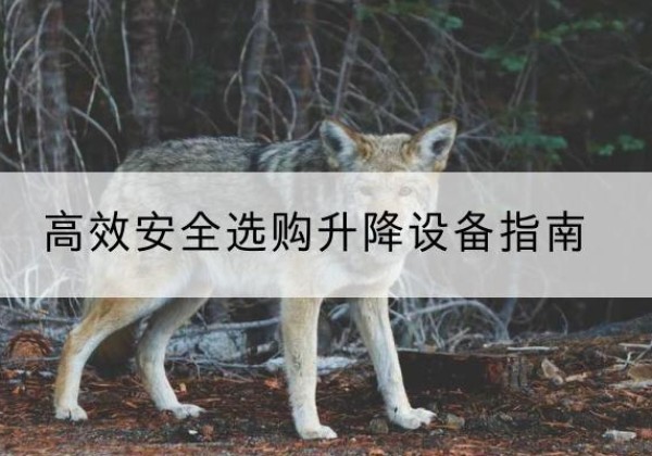 宁乡升降货梯厂家推荐-*安全选购升降设备指南