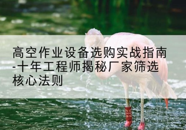 宁乡剪叉式升降机厂家-高空作业设备选购实战指南-十年工程师揭秘厂家筛选核心法则